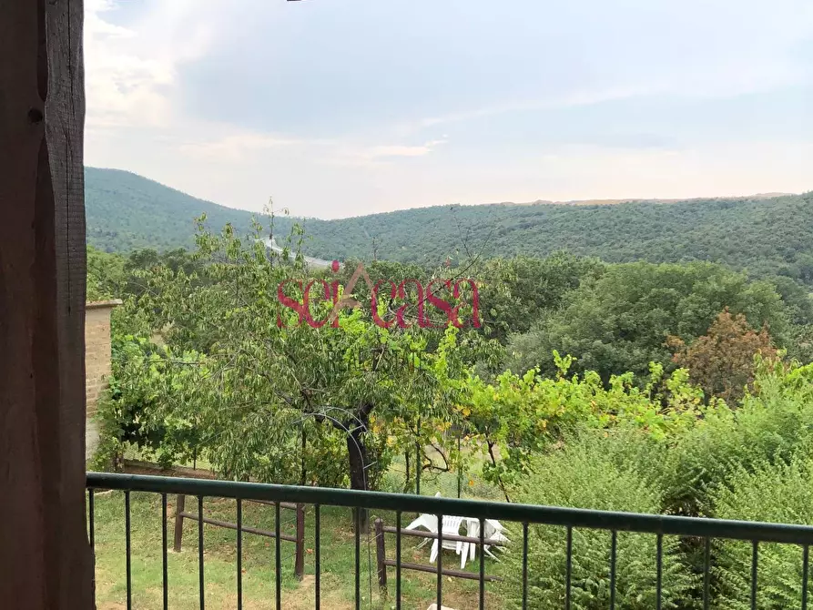 Immagine 14 di Appartamento in affitto  a Campagnatico