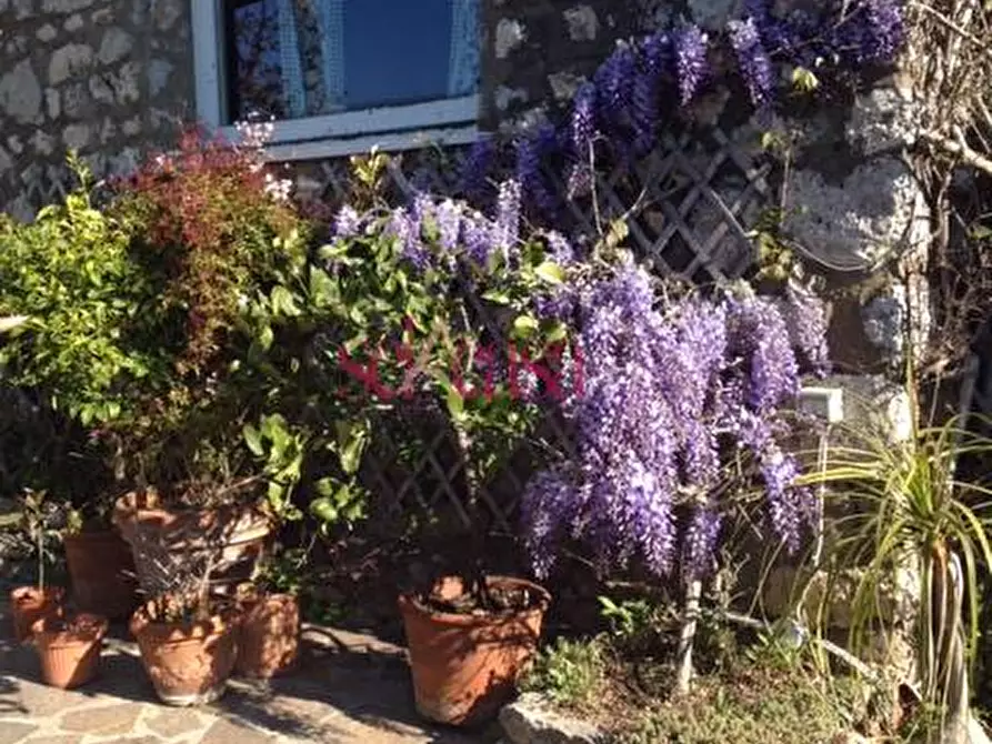 Immagine 2 di Villa in vendita  a Orbetello