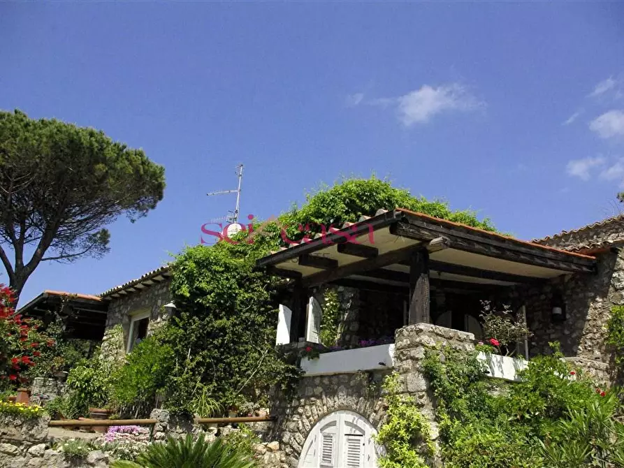Immagine 18 di Villa in vendita  a Orbetello