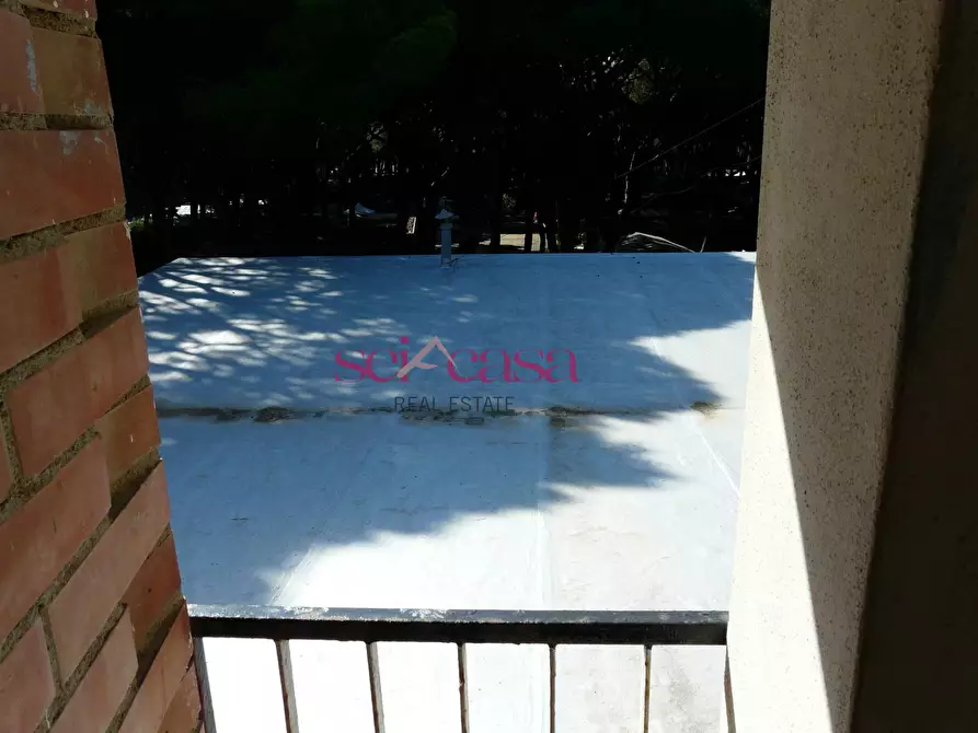 Immagine 6 di Appartamento in vendita  a Grosseto