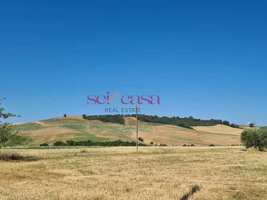 Immagine 7 di Rustico / casale in vendita  a Campagnatico