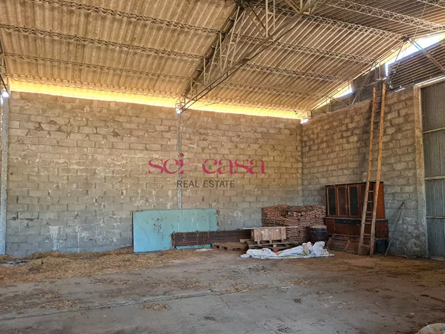 Immagine 10 di Rustico / casale in vendita  a Campagnatico