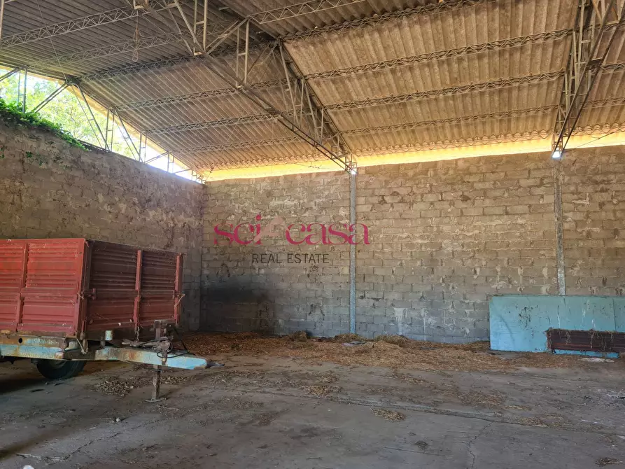 Immagine 11 di Rustico / casale in vendita  a Campagnatico