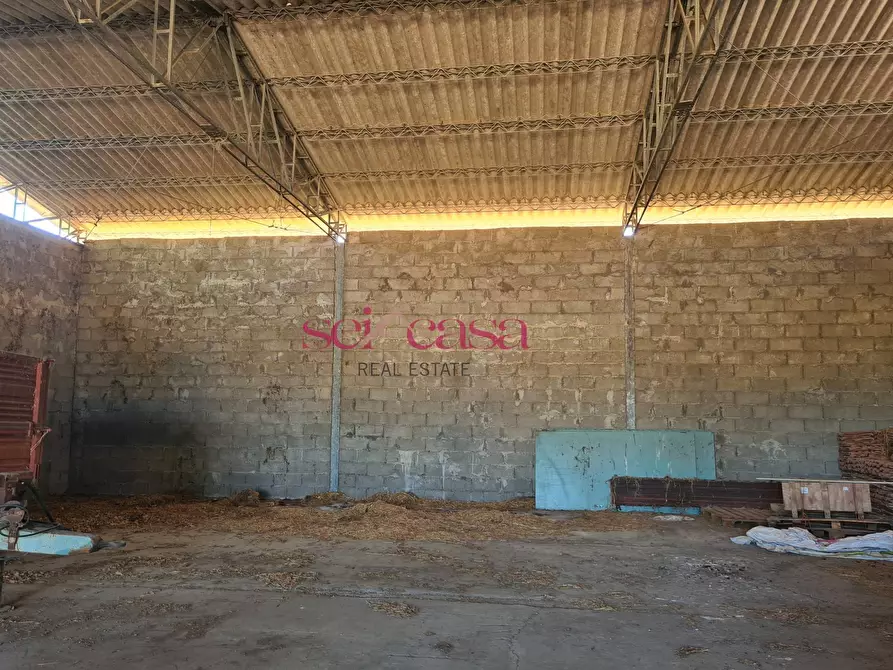 Immagine 12 di Rustico / casale in vendita  a Campagnatico