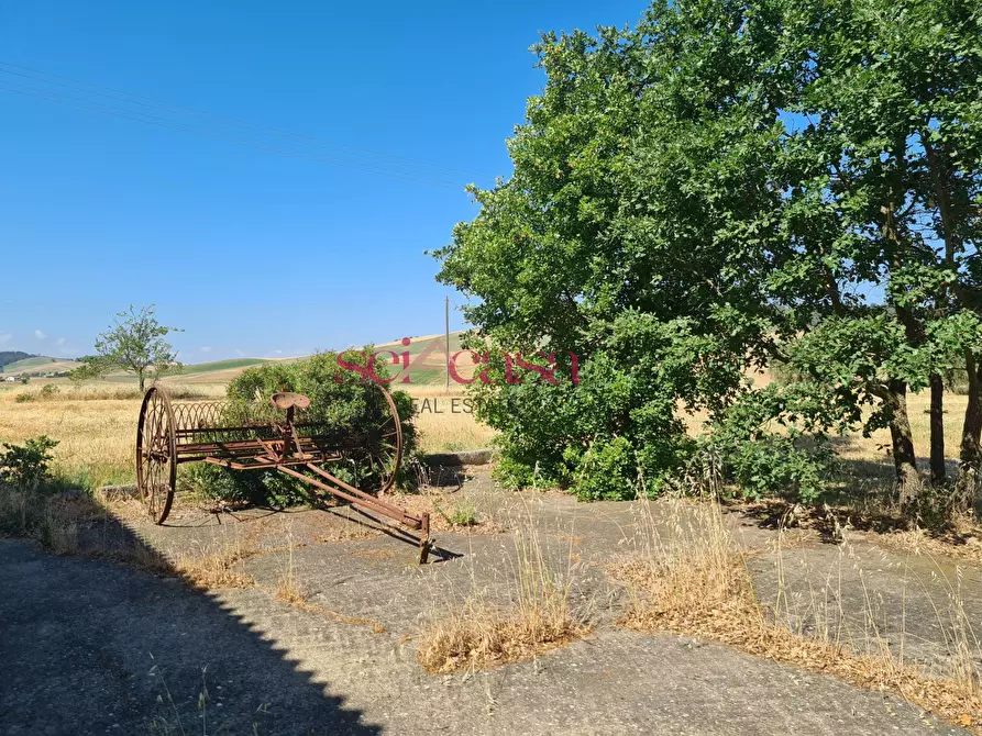 Immagine 9 di Rustico / casale in vendita  a Campagnatico