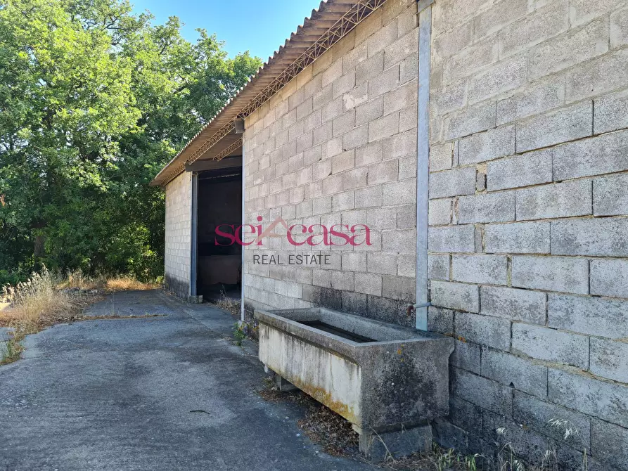 Immagine 13 di Rustico / casale in vendita  a Campagnatico