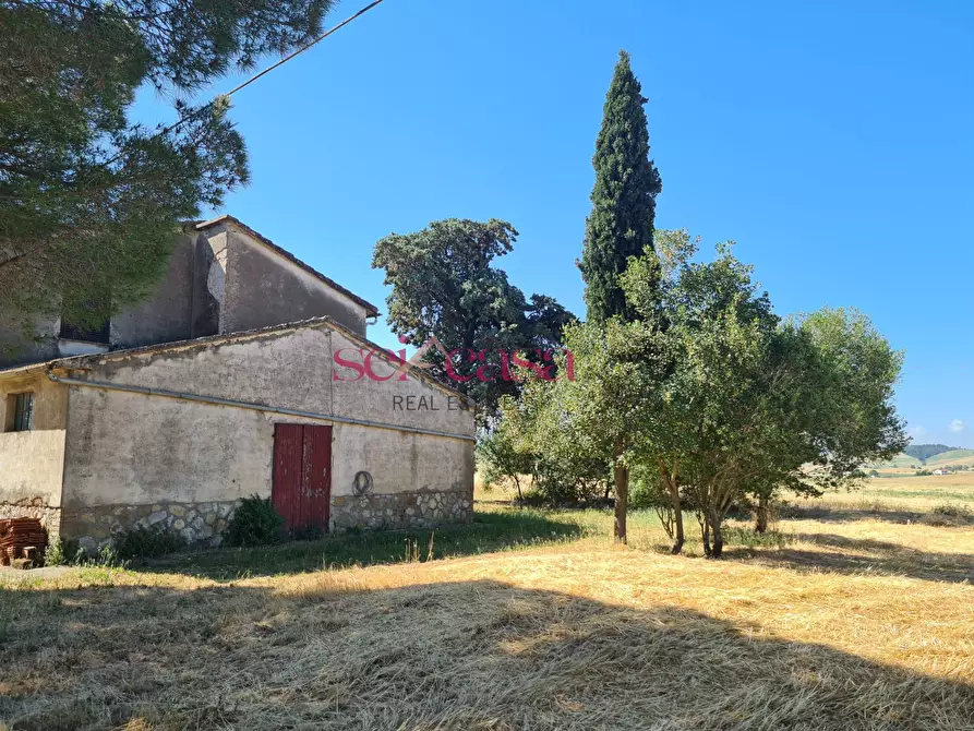 Immagine 2 di Rustico / casale in vendita  a Campagnatico