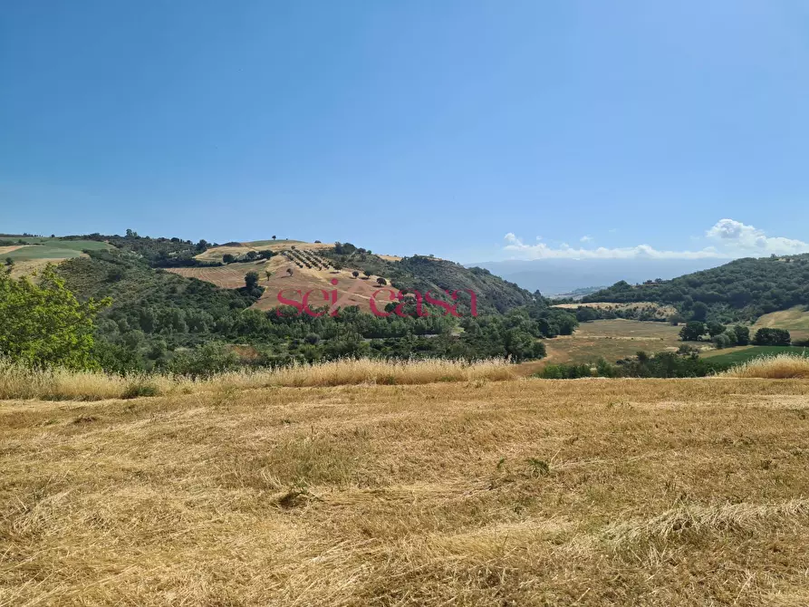 Immagine 8 di Rustico / casale in vendita  a Campagnatico