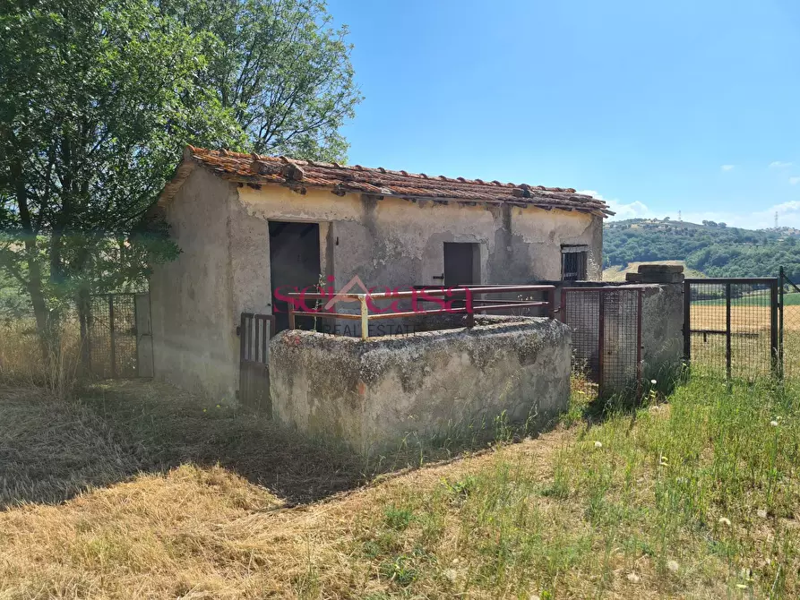 Immagine 16 di Rustico / casale in vendita  a Campagnatico