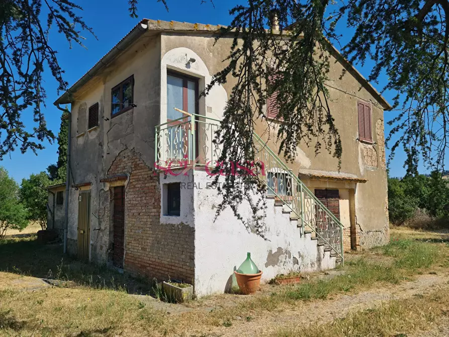 Immagine 3 di Rustico / casale in vendita  a Campagnatico