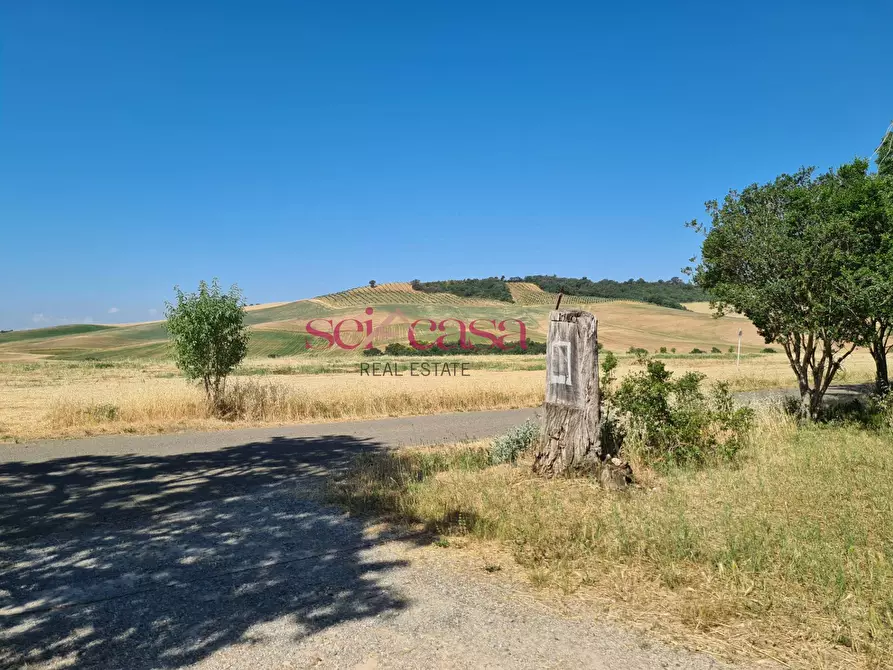 Immagine 18 di Rustico / casale in vendita  a Campagnatico