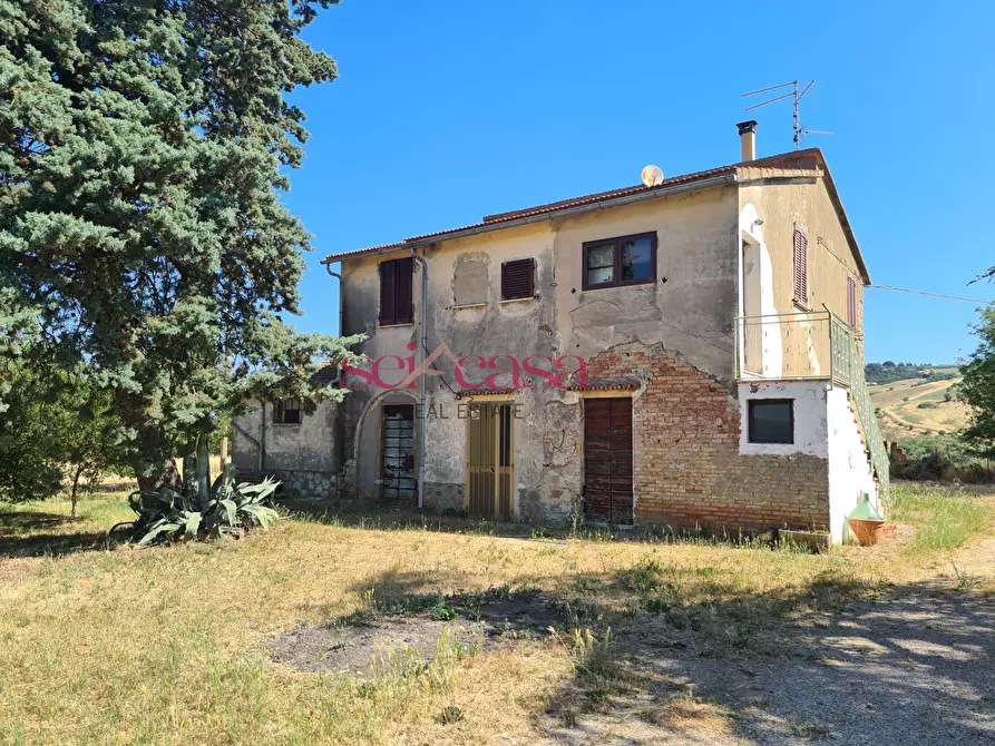 Immagine 4 di Rustico / casale in vendita  a Campagnatico