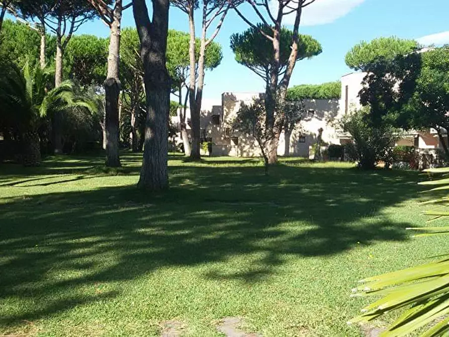 Immagine 2 di Appartamento in vendita  a Grosseto