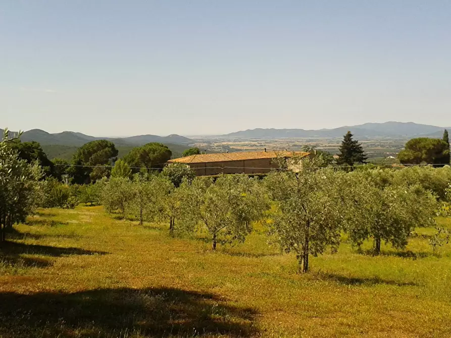 Immagine 4 di Rustico / casale in vendita  a Roccastrada