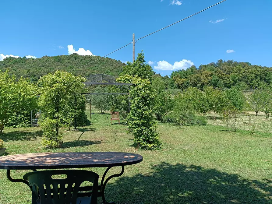 Immagine 10 di Rustico / casale in vendita  a Roccastrada