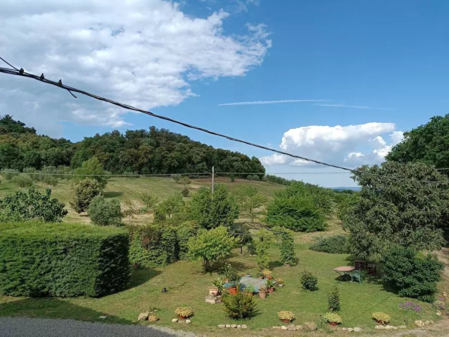 Immagine 11 di Rustico / casale in vendita  a Roccastrada