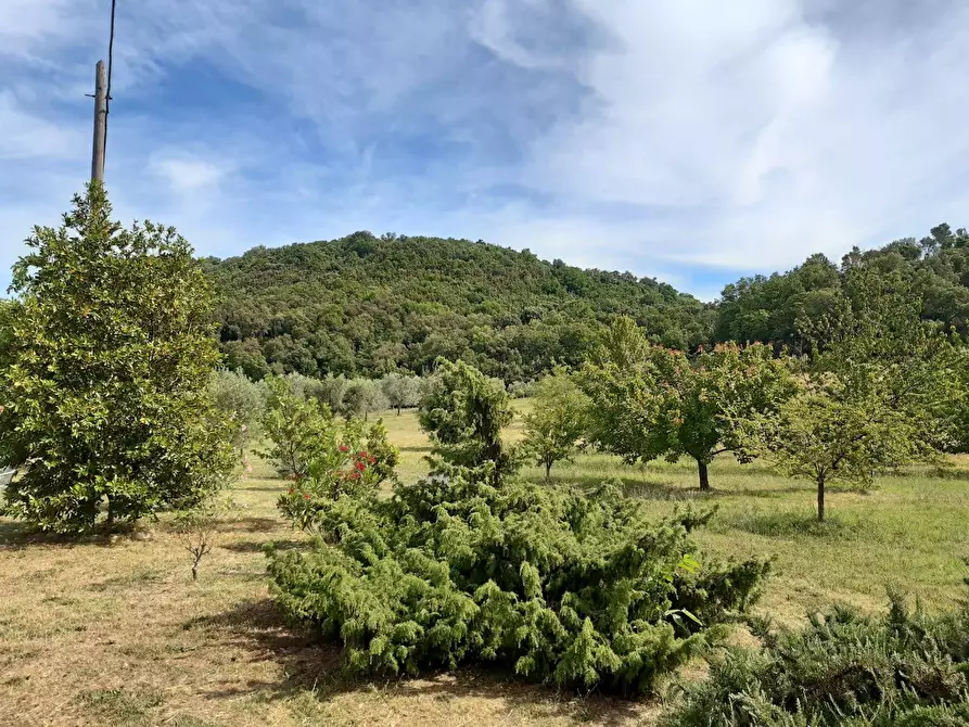 Immagine 12 di Rustico / casale in vendita  a Roccastrada