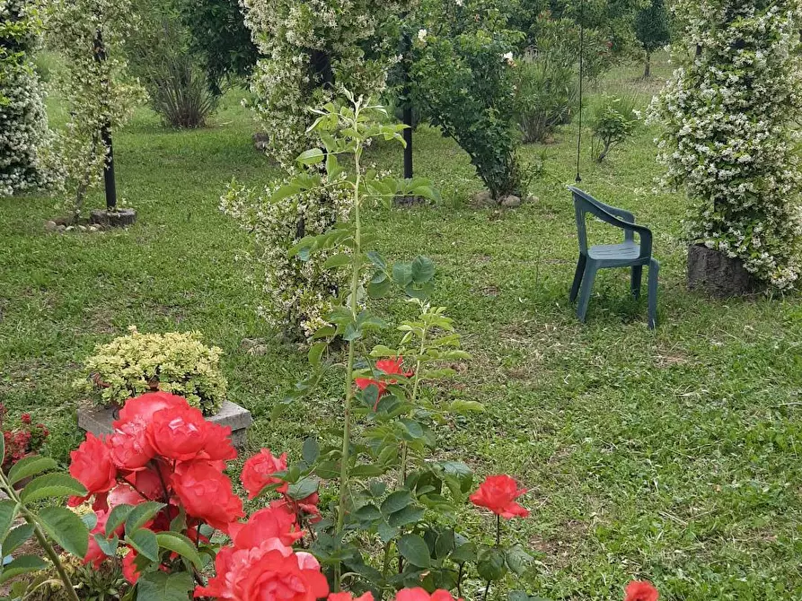 Immagine 13 di Rustico / casale in vendita  a Roccastrada