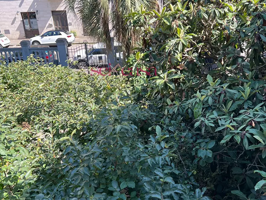 Immagine 25 di Villa in vendita  a Grosseto