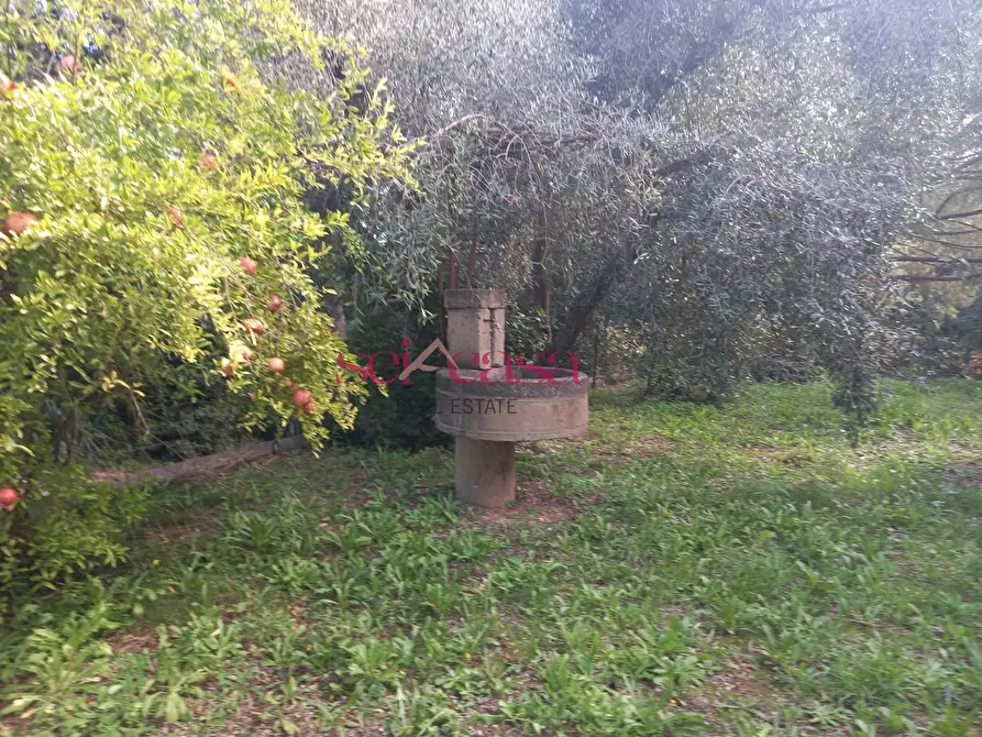 Immagine 1 di Casa bifamiliare in vendita  a Magliano In Toscana