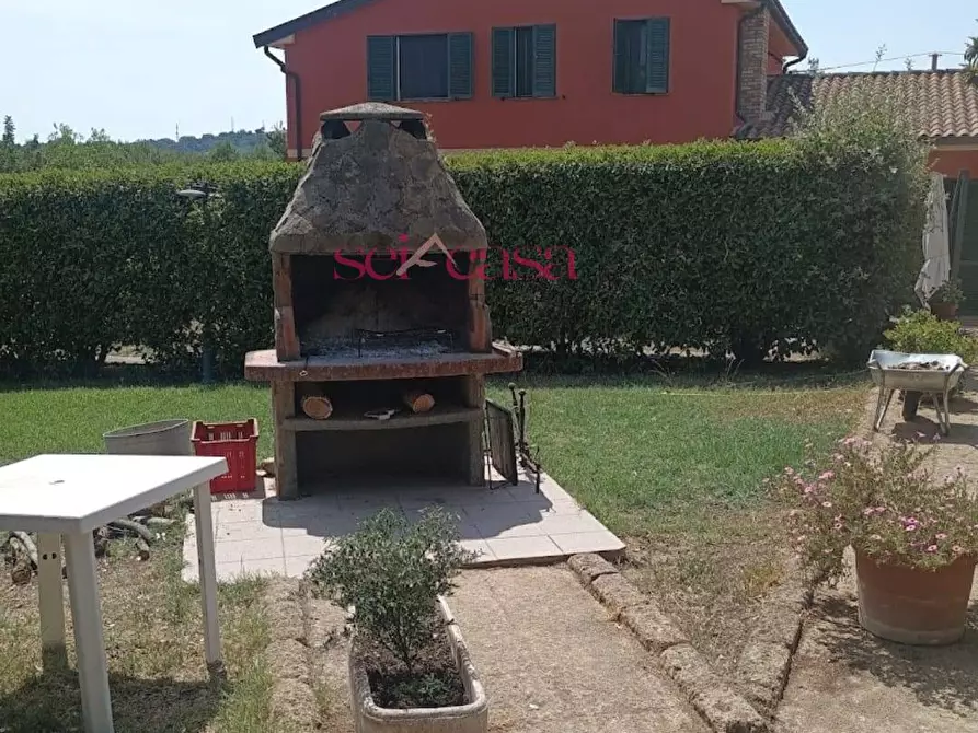 Immagine 2 di Agriturismo in vendita  a Grosseto