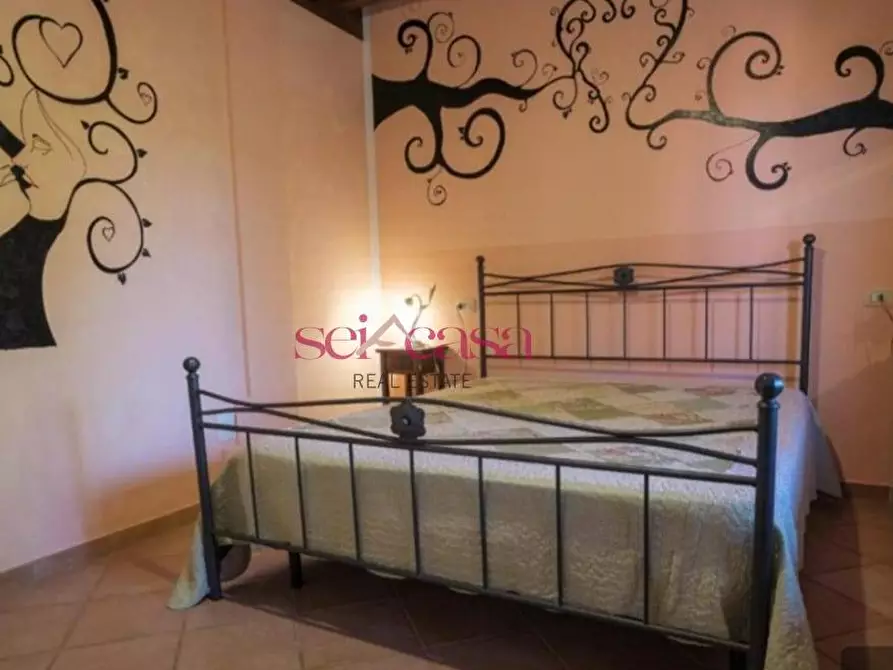 Immagine 15 di Agriturismo in vendita  a Grosseto