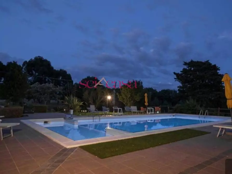 Immagine 22 di Agriturismo in vendita  a Grosseto