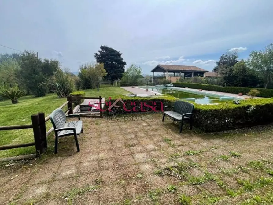 Immagine 4 di Agriturismo in vendita  a Grosseto