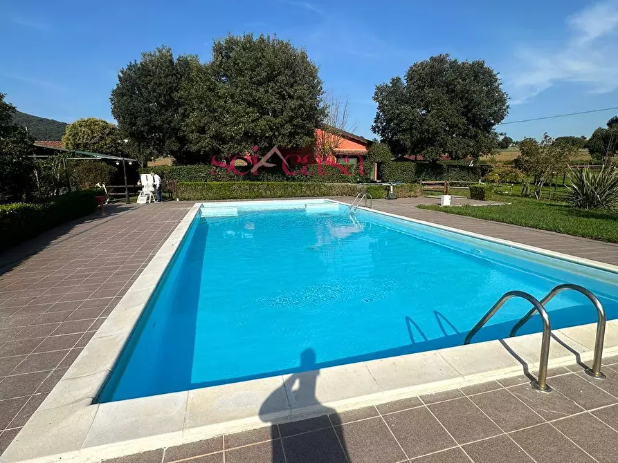 Immagine 27 di Agriturismo in vendita  a Grosseto