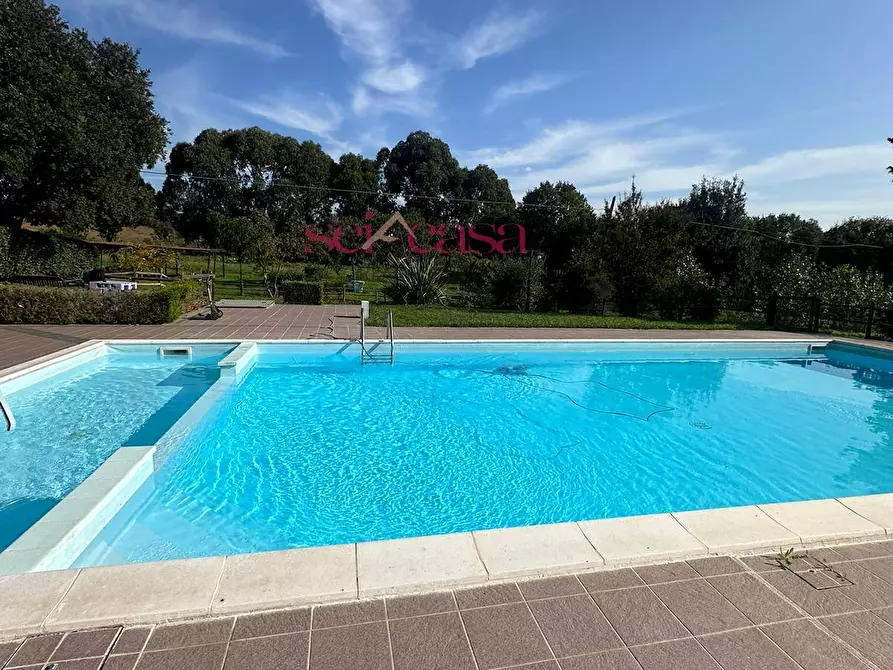 Immagine 29 di Agriturismo in vendita  a Grosseto