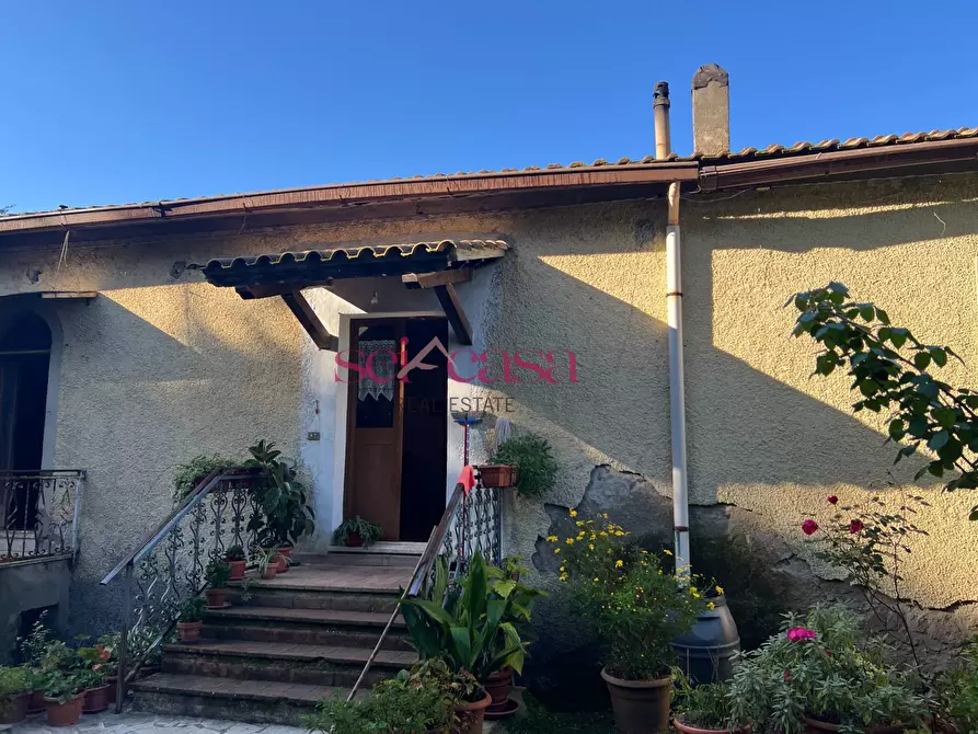 Immagine 2 di Rustico / casale in vendita  a Scansano