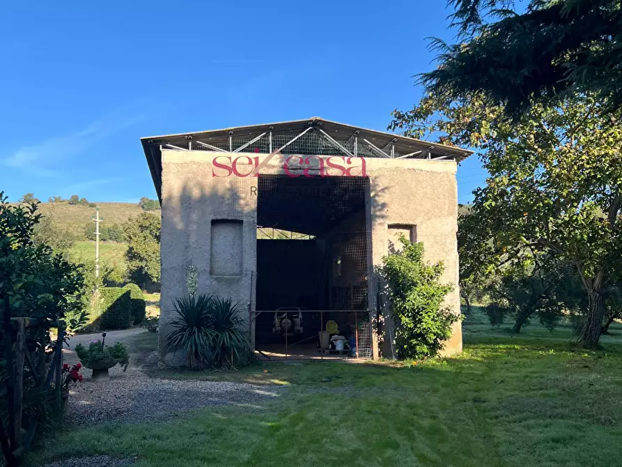 Immagine 6 di Rustico / casale in vendita  a Scansano