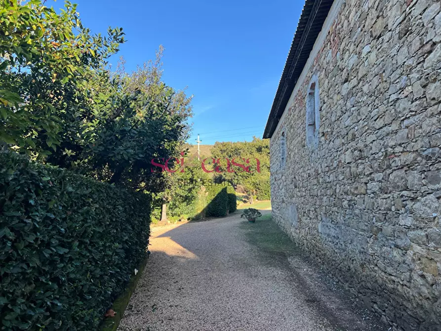 Immagine 11 di Rustico / casale in vendita  a Scansano