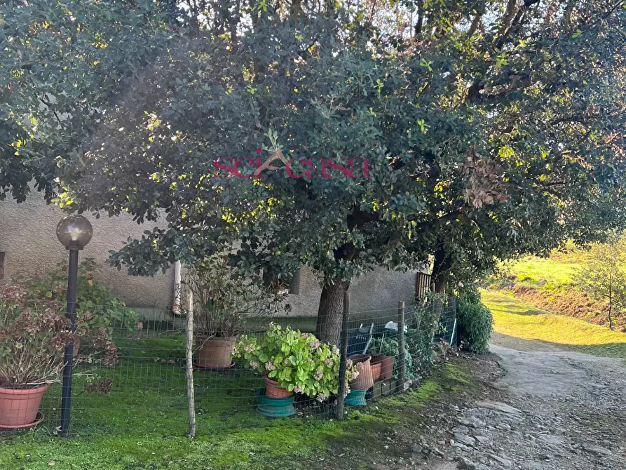 Immagine 12 di Rustico / casale in vendita  a Scansano