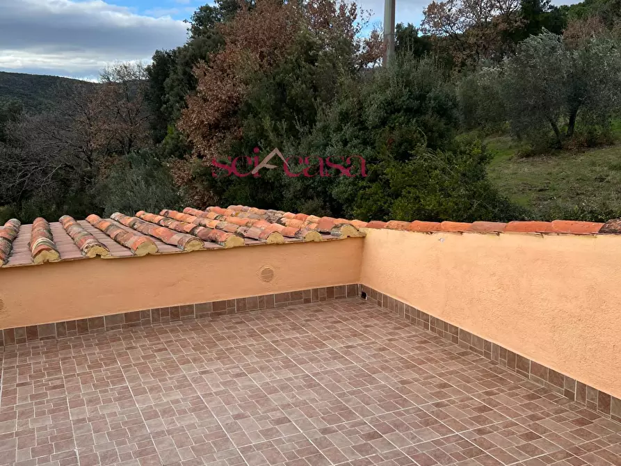 Immagine 24 di Rustico / casale in vendita  a Roccastrada