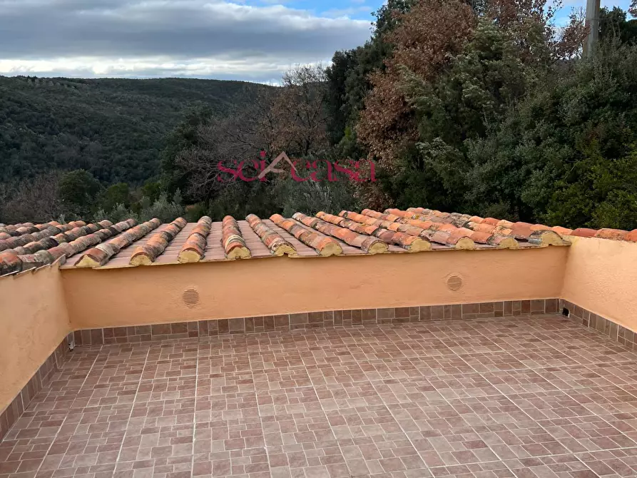 Immagine 23 di Rustico / casale in vendita  a Roccastrada