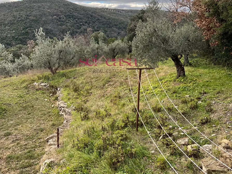Immagine 25 di Rustico / casale in vendita  a Roccastrada