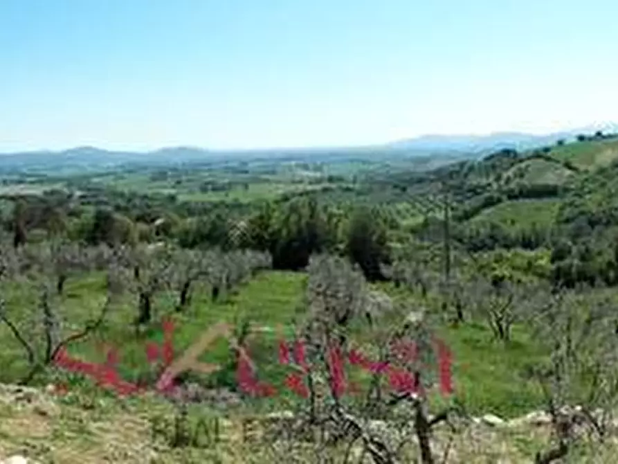 Immagine 26 di Rustico / casale in vendita  a Roccastrada