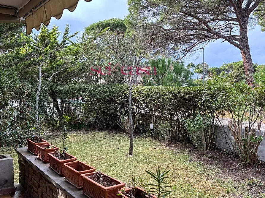 Immagine 6 di Casa indipendente in vendita  a Grosseto