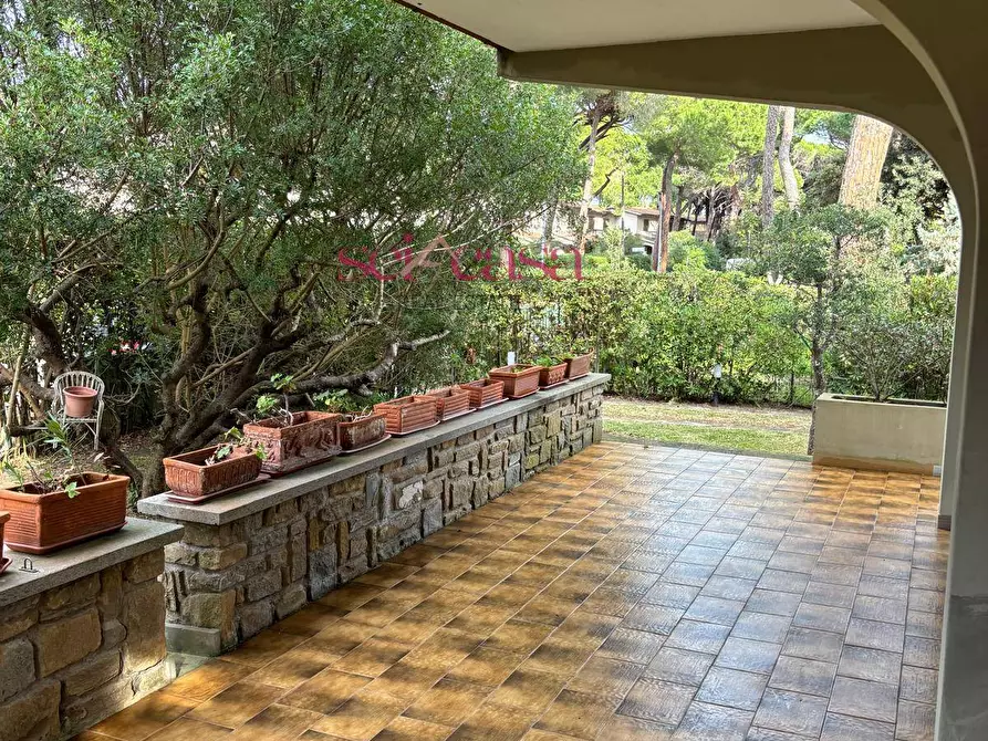 Immagine 9 di Casa indipendente in vendita  a Grosseto