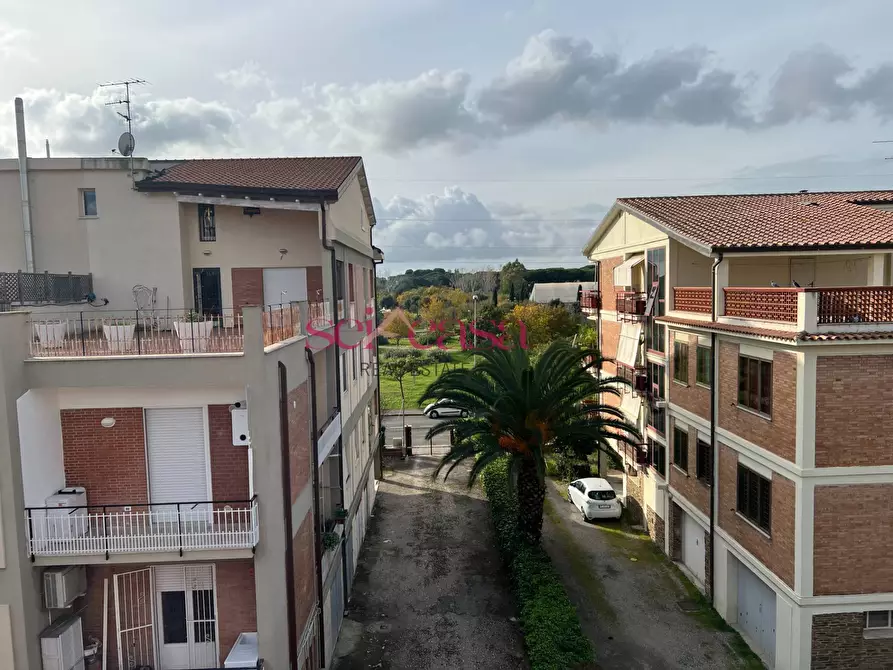 Immagine 13 di Appartamento in vendita  a Grosseto