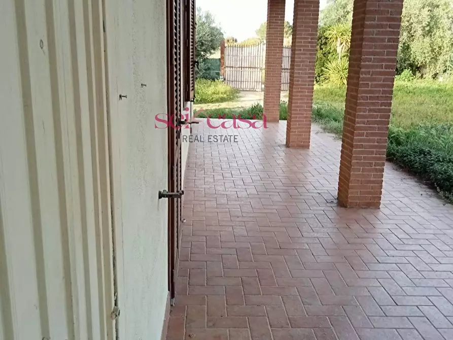 Immagine 4 di Rustico / casale in vendita  a Scarlino