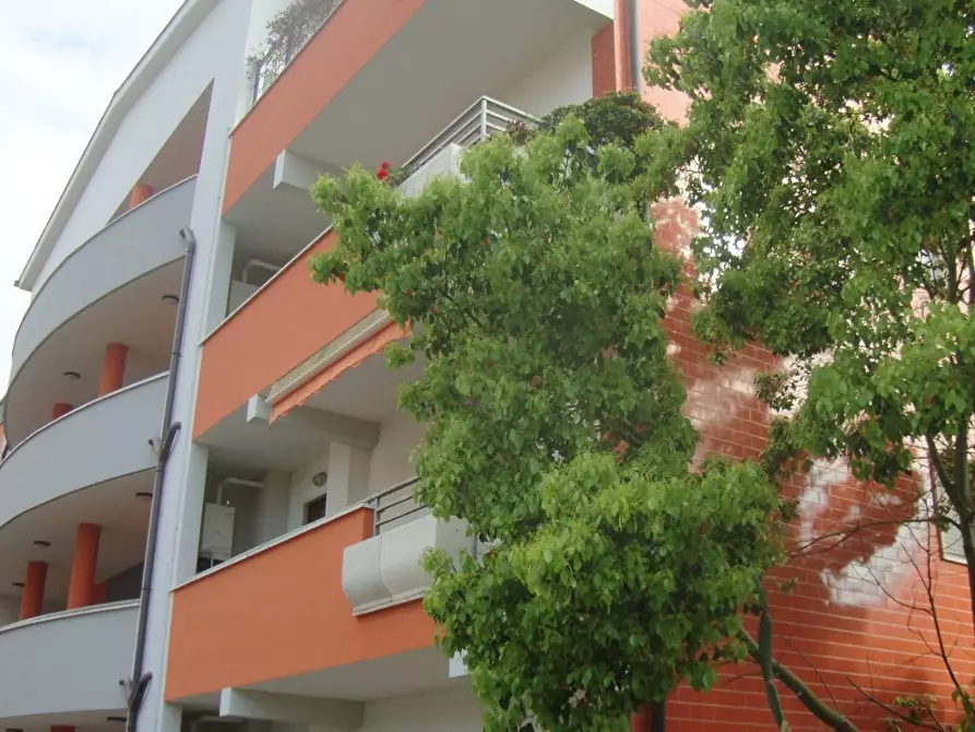 Immagine 28 di Appartamento in affitto  in Via Alessandro Volta a Santa Marinella