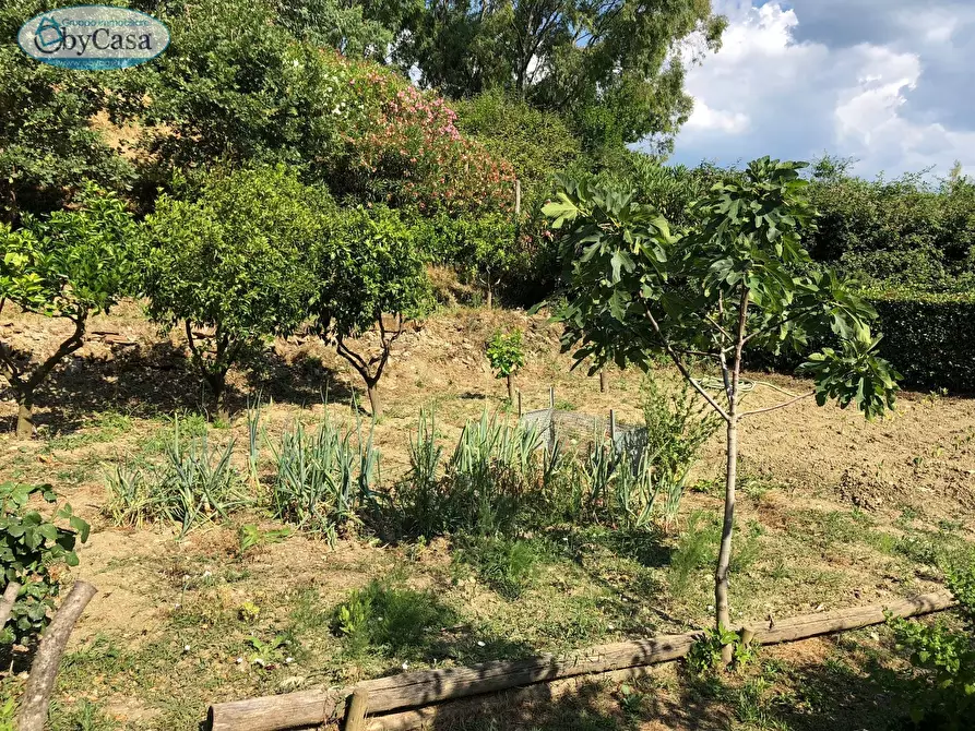Immagine 10 di Terreno agricolo in vendita  in Via Ancelle Delle Visitazione a Santa Marinella