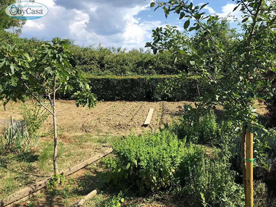 Immagine 4 di Terreno agricolo in vendita  in Via Ancelle Delle Visitazione a Santa Marinella
