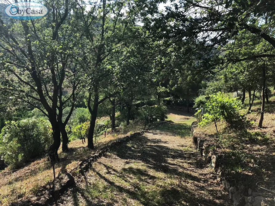 Immagine 13 di Terreno agricolo in vendita  in Via Ancelle Delle Visitazione a Santa Marinella