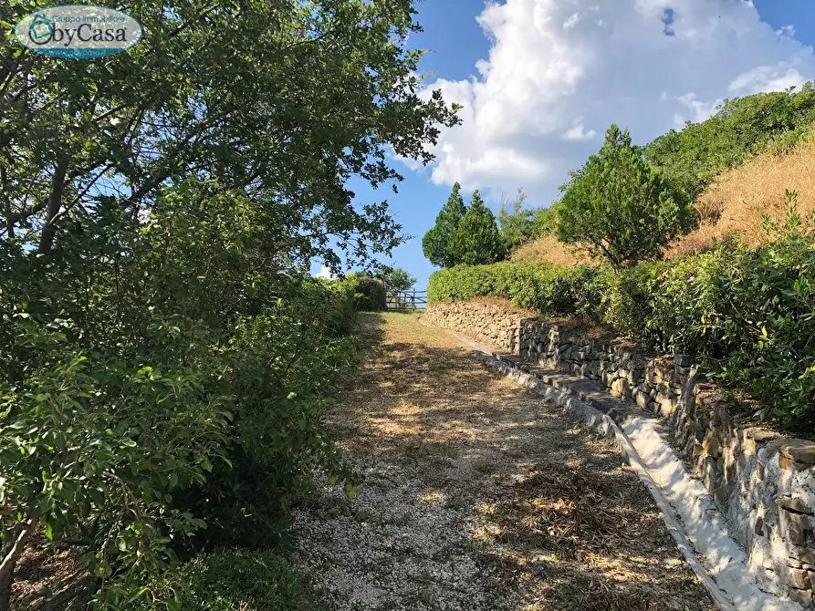 Immagine 3 di Terreno agricolo in vendita  in Via Ancelle Delle Visitazione a Santa Marinella