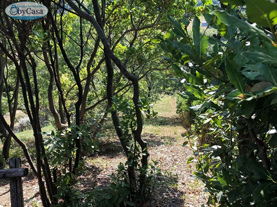 Immagine 17 di Terreno agricolo in vendita  in Via Ancelle Delle Visitazione a Santa Marinella
