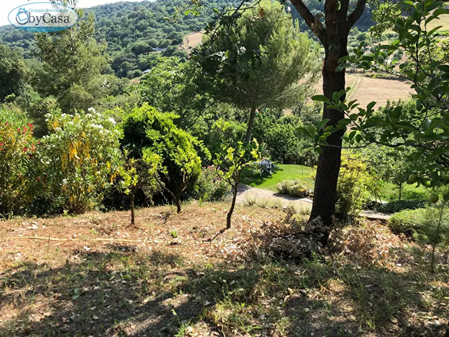Immagine 18 di Terreno agricolo in vendita  in Via Ancelle Delle Visitazione a Santa Marinella