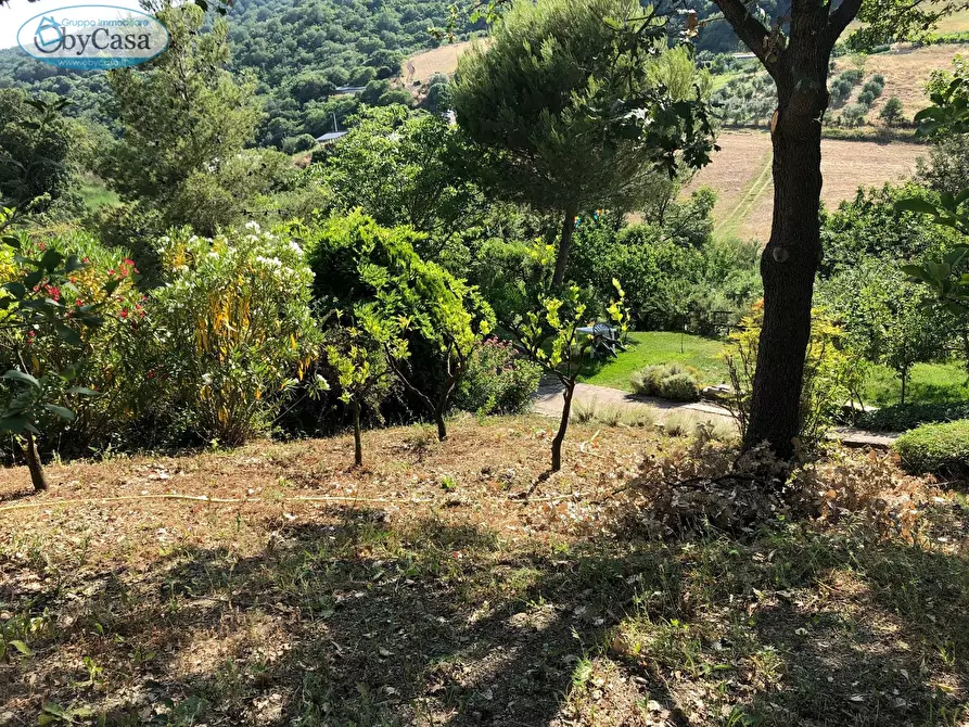 Immagine 19 di Terreno agricolo in vendita  in Via Ancelle Delle Visitazione a Santa Marinella